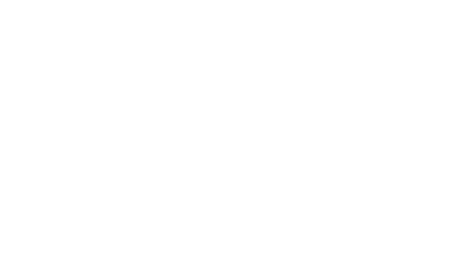 v2.fi media logo